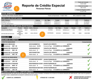 reporte-credito-ejemplo (1)