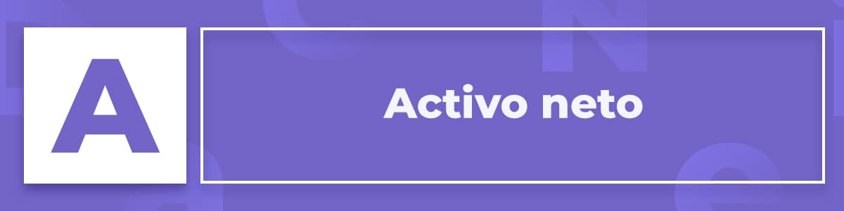 Activo Neto