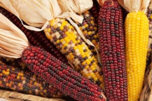 mexico-ingresa-al-top-10-de-exportadores-agroalimentarios
