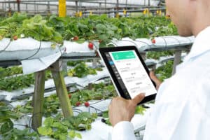 mexico-ingresa-al-top-10-de-exportadores-agroalimentarios