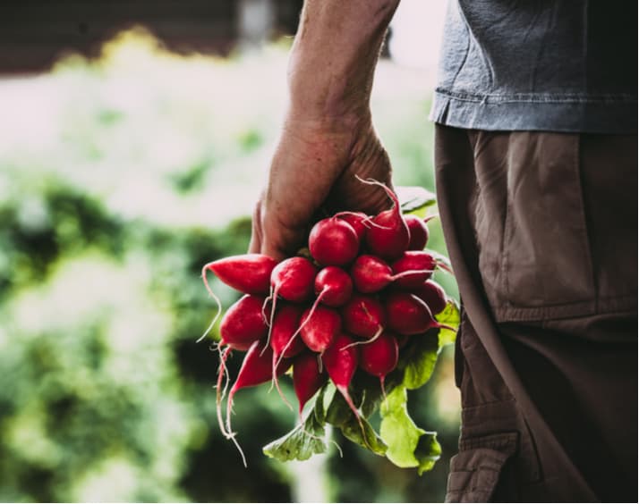 México ingresa al Top 10 de exportadores agroalimentarios