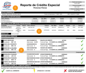 ¿Sabes cómo leer tu Reporte de Crédito? 10 reporte-credito-ejemplo (1)