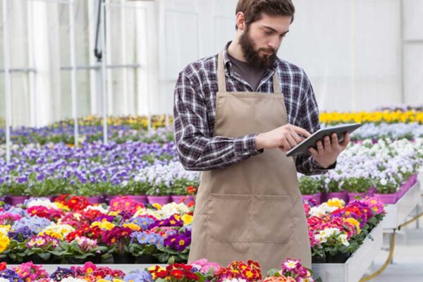 Cómo elegir un crédito para tu pyme