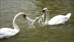 ¿Tu Pyme ayuda a cuidar el medio ambiente? 4 tu-pyme-ayuda-a-cuidar-el-medio-ambiente