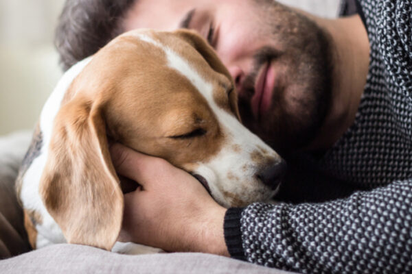 Sé una Pyme Pet Friendly este Día Mundial del Perro