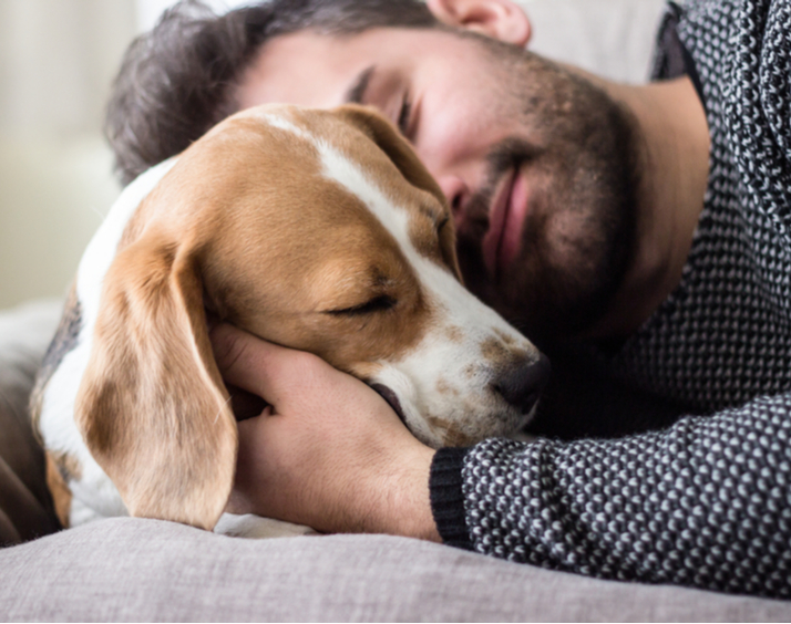Sé una Pyme Pet Friendly este Día Mundial del Perro