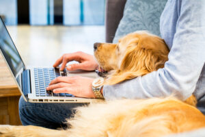 se-una-pyme-pet-friendly-este-dia-mundial-del-perro
