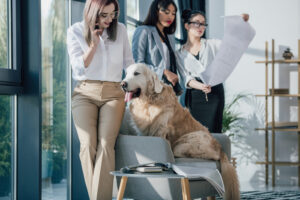 se-una-pyme-pet-friendly-este-dia-mundial-del-perro