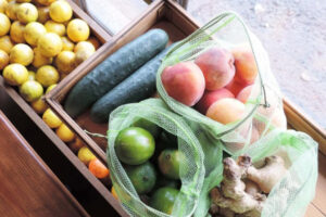 ecostalitos-bolsas-ecologicas-que-conquistaron-shark-tank-mexico