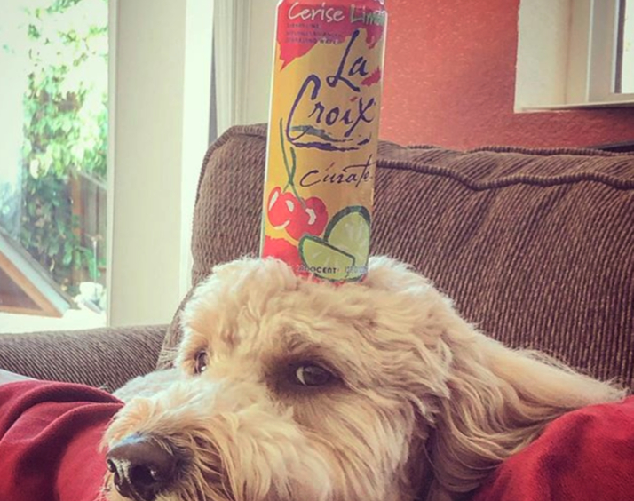 LaCroix, la marca que hizo millones con el poder de su imagen