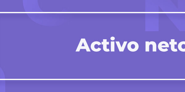 Términos del glosario 6 Activo Neto