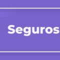 que-son-los-seguros-online