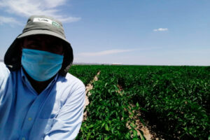 AGRO-IPSA, una Pyme que sabe adaptarse a los cambios 3 agro-ipsa-pyme-que-sabe-adaptarse-a-cambios