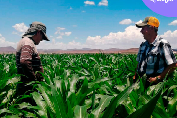 AGRO-IPSA, una Pyme que sabe adaptarse a los cambios 1 AGRO-IPSA, una Pyme que sabe adaptarse a los cambios