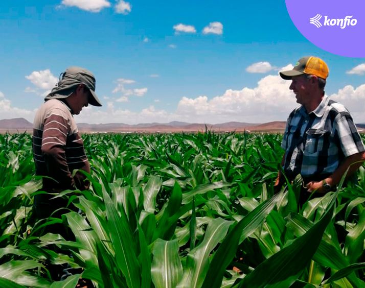 AGRO-IPSA, una Pyme que sabe adaptarse a los cambios