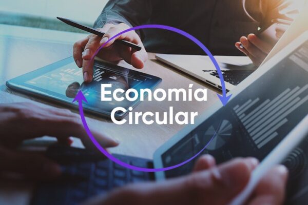 Economía circular ¿Qué es y cómo puedes aplicarla en tu negocio?