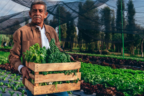 ¿Qué beneficios tiene  una empresa sostenible?