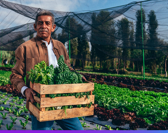 ¿Qué beneficios tiene  una empresa sostenible?