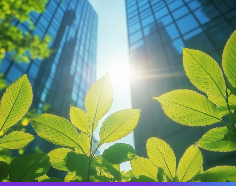 ¿Por qué el día mundial del medio ambiente debe importar a tu pyme?