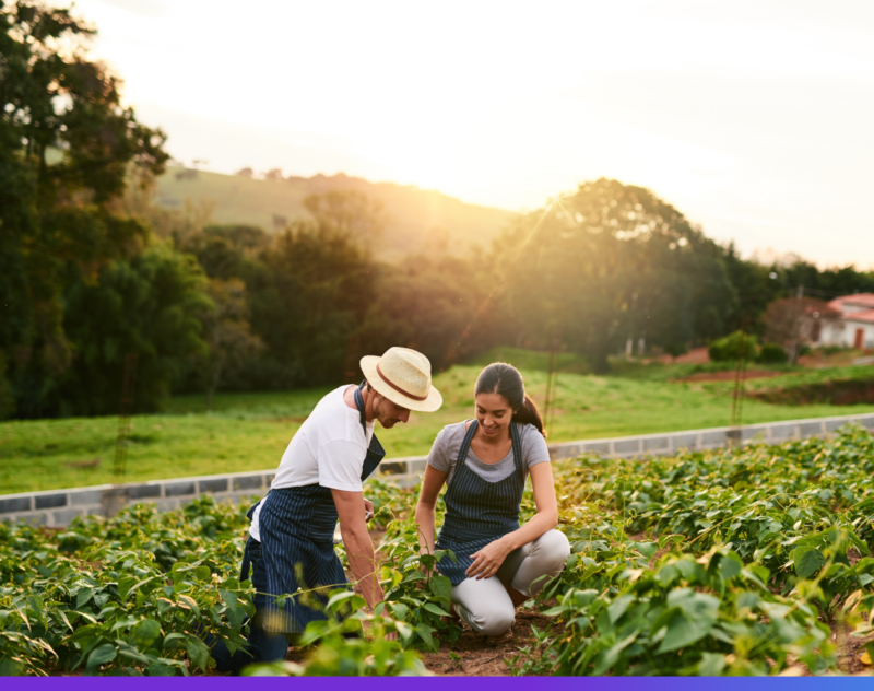 ¿Cómo impulsar los negocios del campo en México?