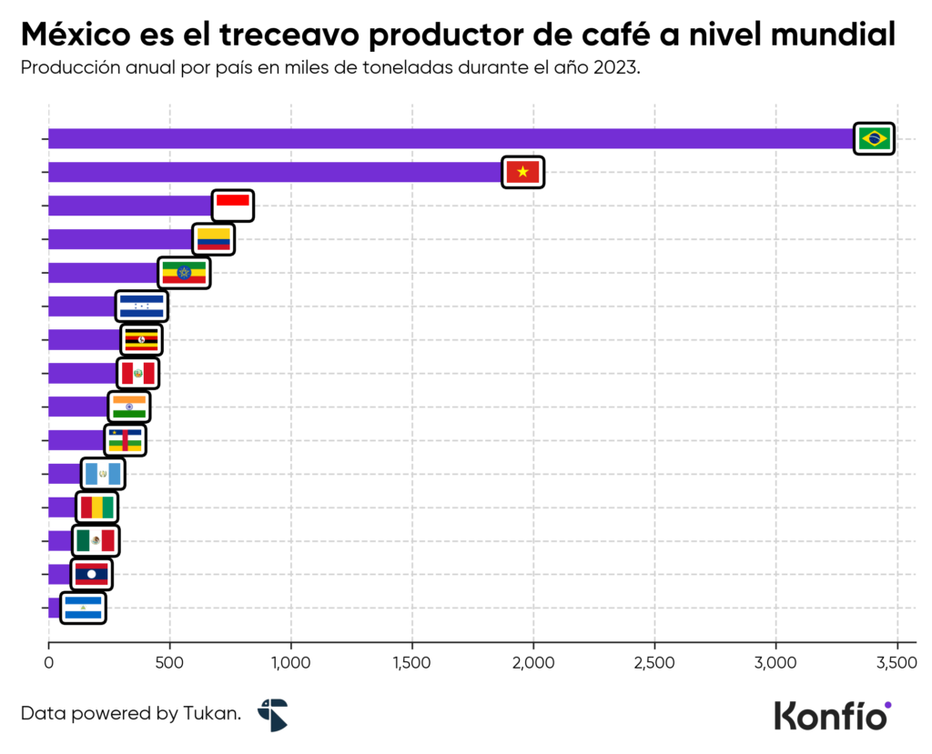 Producción de café en México: los estados que impulsan el crecimiento del sector