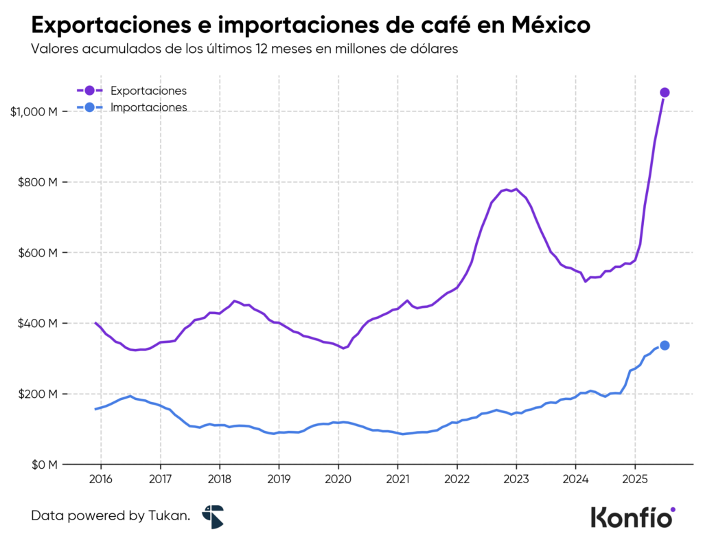 Producción de café en México: los estados que impulsan el crecimiento del sector