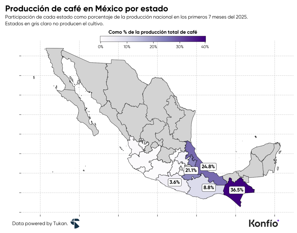 Producción de café en México: los estados que impulsan el crecimiento del sector