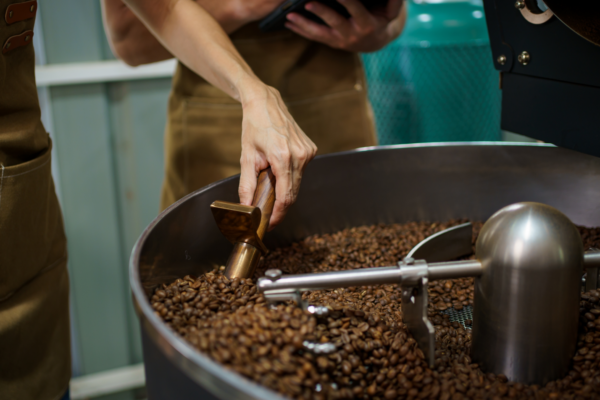 Producción de café en México: los estados que impulsan el crecimiento del sector