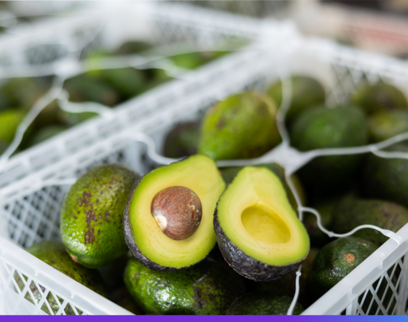 Aguacate mexicano: récord de exportación y consumo en el Super Bowl LX